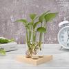 Creative Transparent Vase Glass Wooden Frames Hydroponic Flower Pot Bonsai for Household Living Rooms Office Delicate Decor