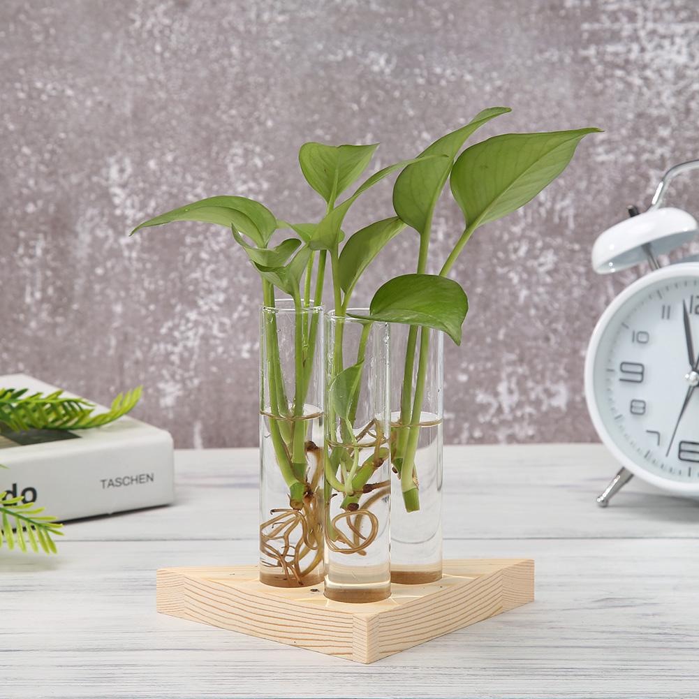 Creative Transparent Vase Glass Wooden Frames Hydroponic Flower Pot Bonsai for Household Living Rooms Office Delicate Decor