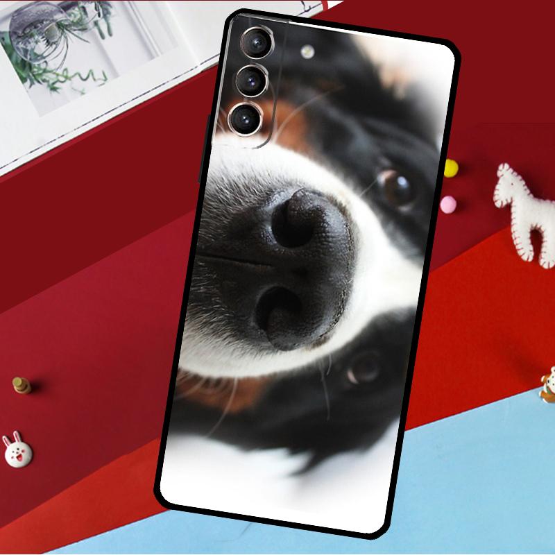 Berner Sennenhund Hülle Für Samsung Galaxy S26 S25 S24 S21 S22 S20 Ultra S9 S10 Plus S23 FE S25 FE Handyhülle