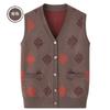 Trui Vest voor Dames Geometrische Grafiek Contrasterende Kleur V-hals Casual Mouwloos Mode Top