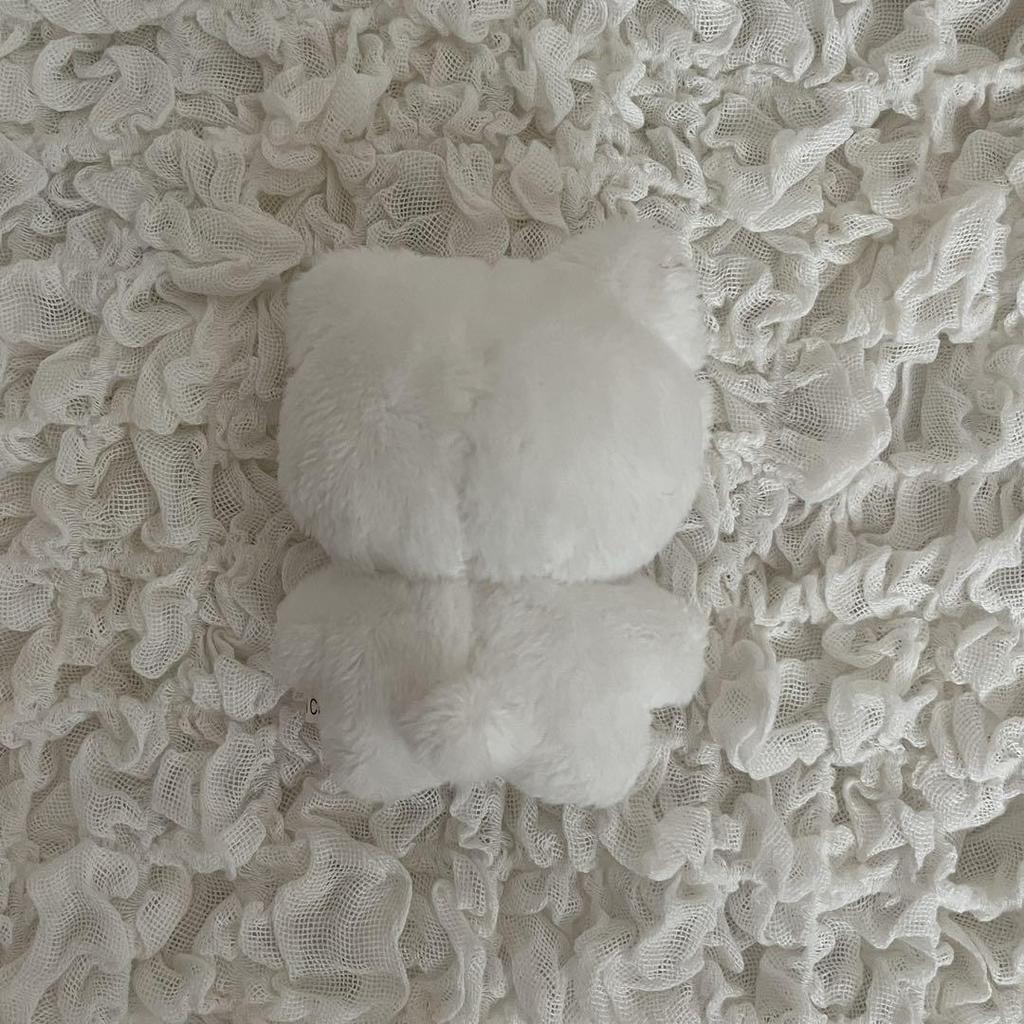 [USED] ENHYPEN Jungwon 10cm Doll (Yancomi)