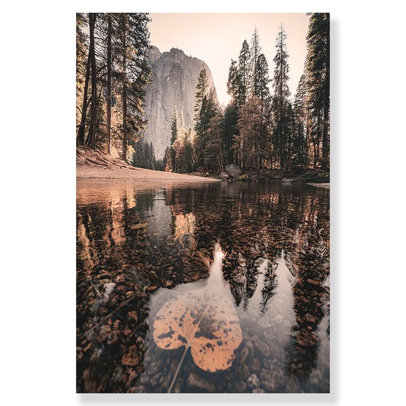 Landscape Flower Picture Canvas Painting Wall Art Autumn Scenery Mountain Lake Grass Poster and Print for Modern Home Wall Decor