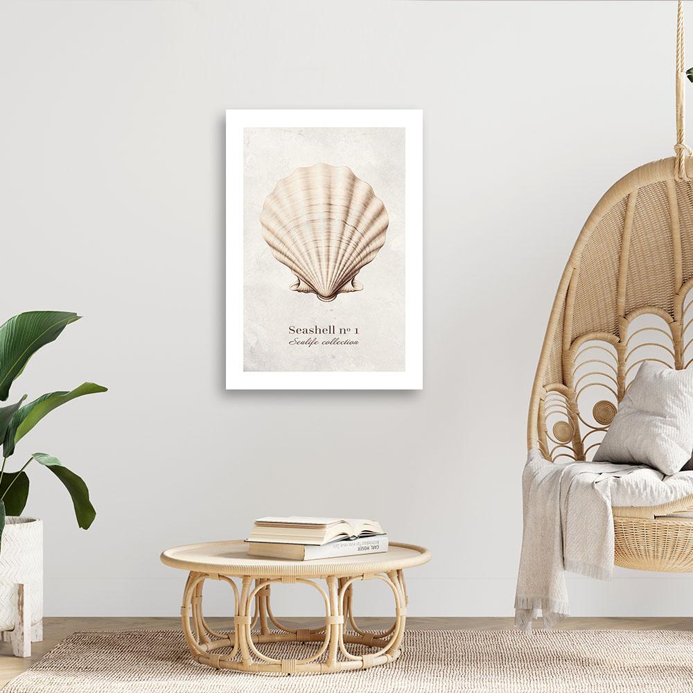 Canvas Print, Natural Shell