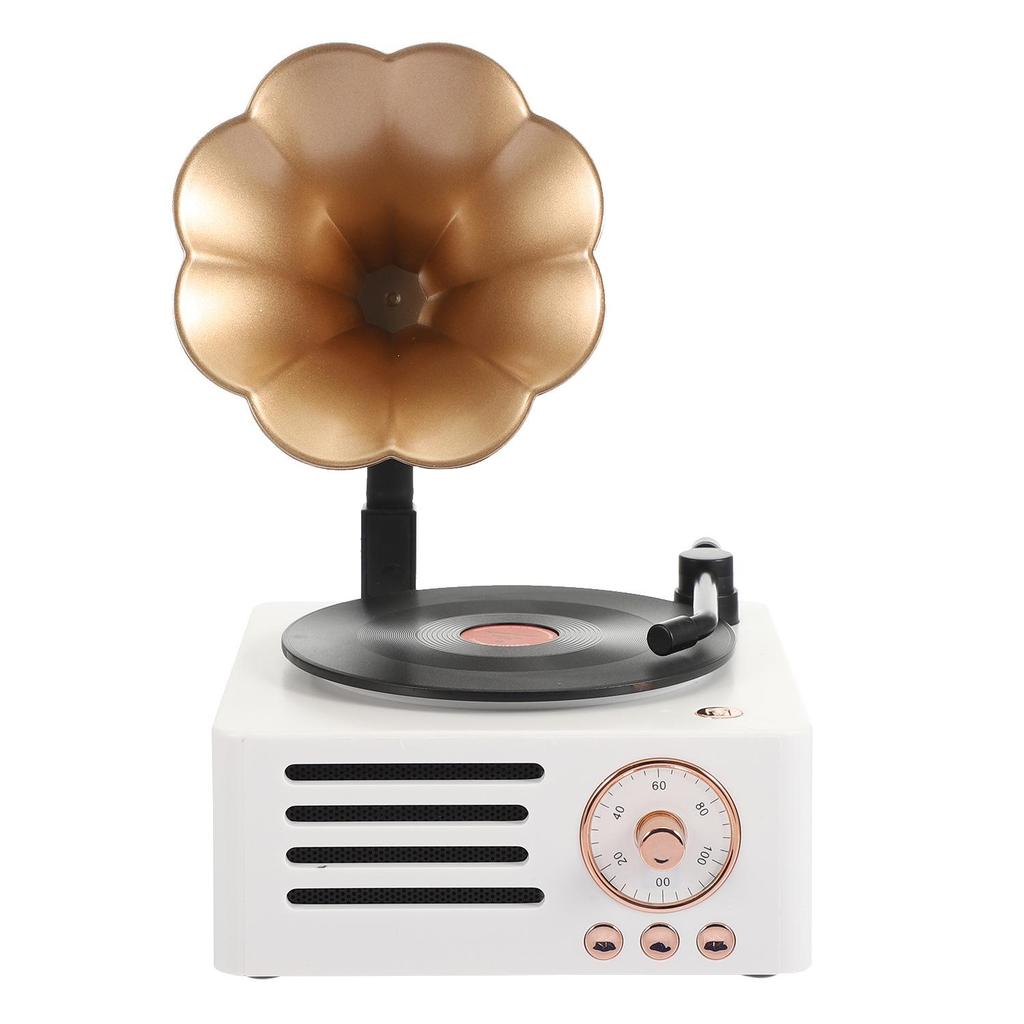Retro Wood Grain Bluetooth Vinyl Speaker with Rotating Design