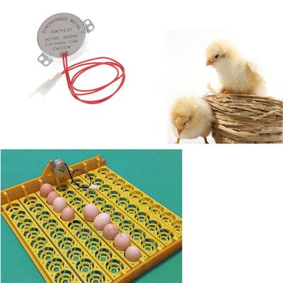 Componente do motor do virador de ovos para incubadora de ovos de galinha chocadeira AC 110V