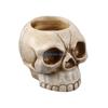 Fun Skull Holder Halloween Theme for Household, Birthday, Party, Wedding Funny Skull Celebration Household D57B