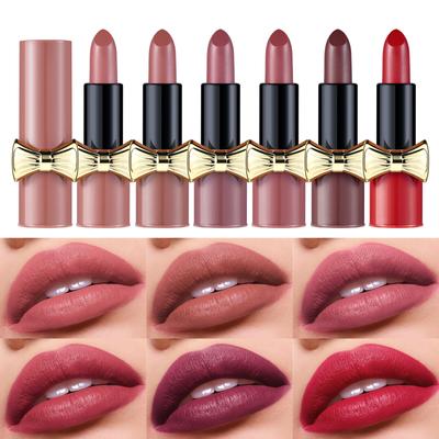 Velvet Matte Lipstick In 6 Shades Red Pink Purple Nude Long-Lasting Lip Gloss Non-Fading Formula Lip Stain for All Skin Types