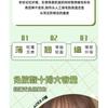 LuxeFlutter - Natural Glue-free Multipack False Eyelashes Cluster