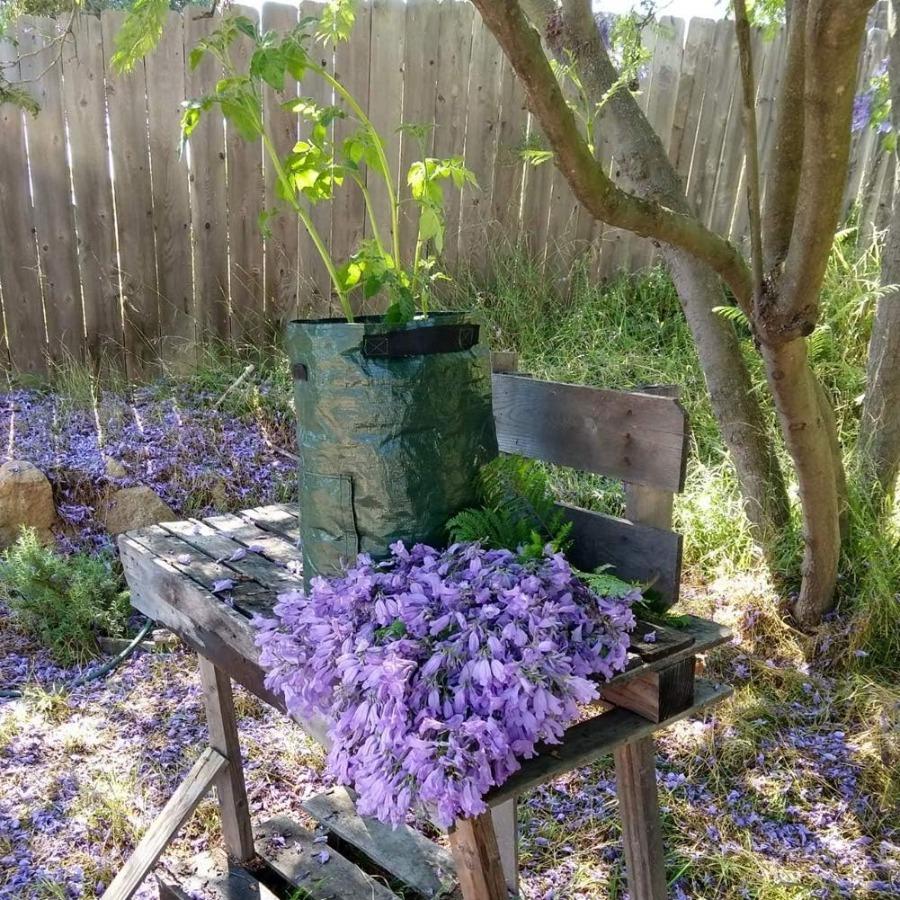 Potato Grow Bags 4 Pack 10 Gallon with Flap and Handles Planter Pots for Onion Fruits Tomato Carrot Green