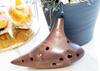 TNG Ocarina [Brown / 12-Hole / AC] Single (with dedicated case) High-Quality Ocarina for Wind Instruments, Purple Sand