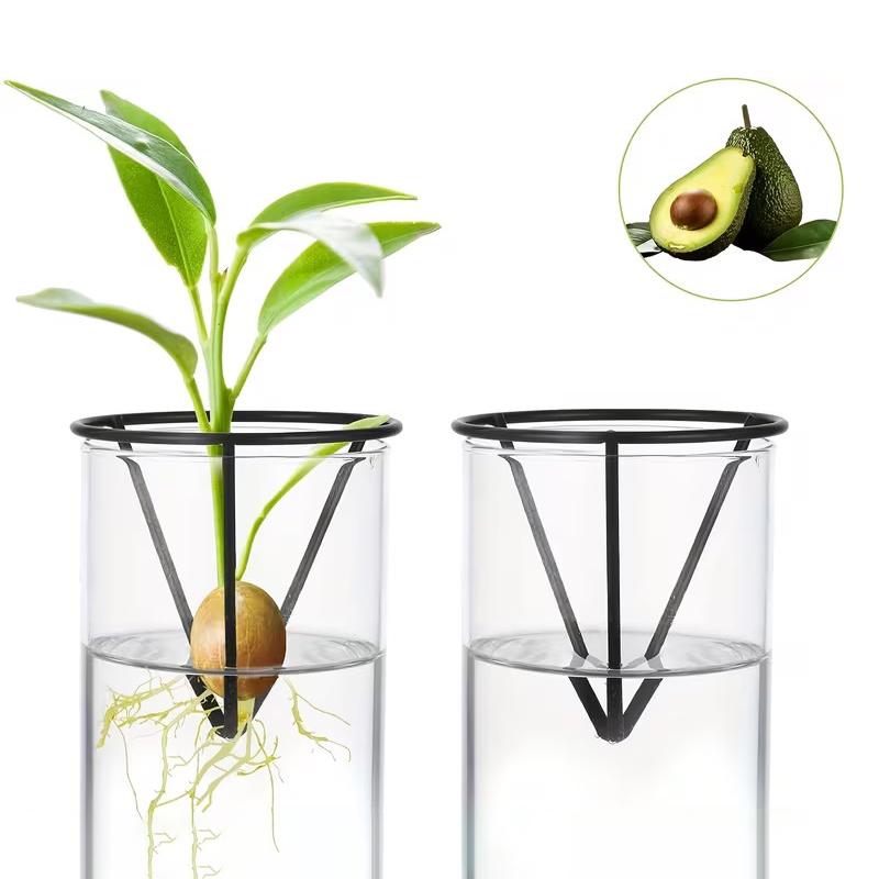 1/2/4Pcs Avocado Seed Starter Vase Holders Avocado Seed Growing Triangle Metal Stand Carrots, Sweet Potatoes Growing Stand