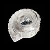 Transparenter Planarien-Fänger mit Metallblock Schneckenfangbox Planarienfalle Aquarium Fischtank
