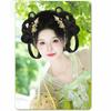 2Pcs Synthetic Hanfu Ancient Costume Wigs Black Princess Hair Bun Cosplay Wig  Photography