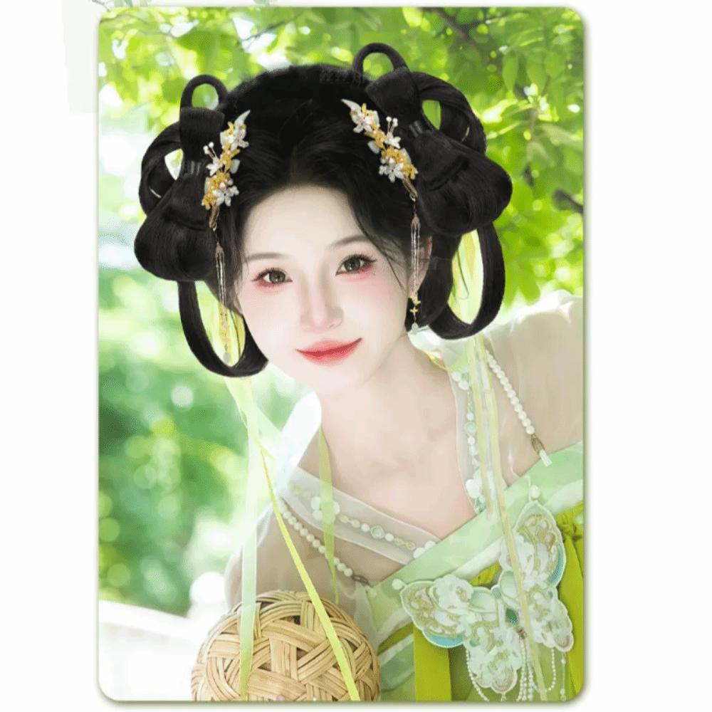 2Pcs Synthetic Hanfu Ancient Costume Wigs Black Princess Hair Bun Cosplay Wig  Photography