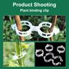 100/150/200/300/400/600 buc cleme de fixare a plantelor securizate, cleme pentru plante cățărătoare, cleme din plastic securizate pentru plante, roșii