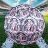 Custom Name Personalized Sailor Moon Print Size 5 Soccer Ball Training & Match Football, for Team, Kicking, Gift for Football Enthusiasts