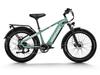 Himiway D5 Step-Over Fat Tire E-Bike – 250W, 48V 20Ah, 125km Range