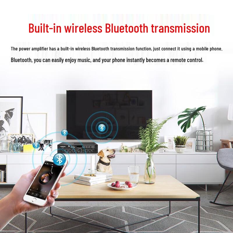 LINGSHENG Home Theater Karaoke System with Integrated Amplifier