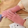 Windproof Cycling Driving Gloves Touch Screen All Finger Gloves Daily Short Mittens  Winter