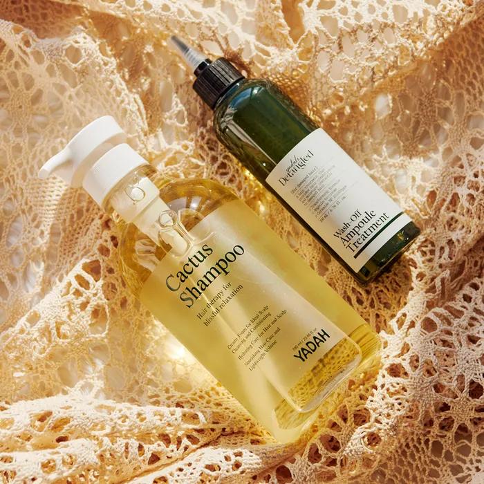 [SET] 2 Types of Low-irritation Hair Care (Cactus Shampoo 700ml + Detangled Treatment 200ml)