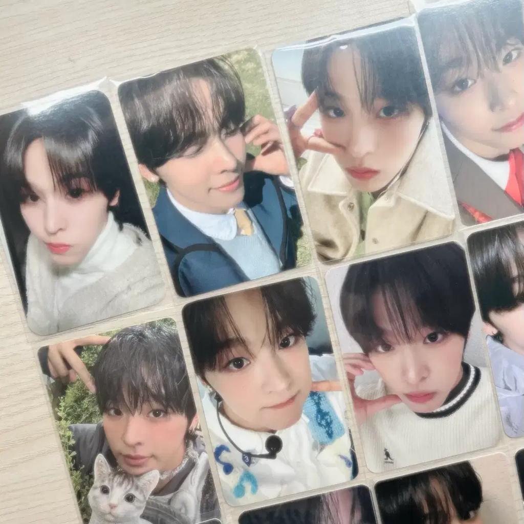 NCT Wish Riku photocard batch POB wish songbird quick sale Enwish