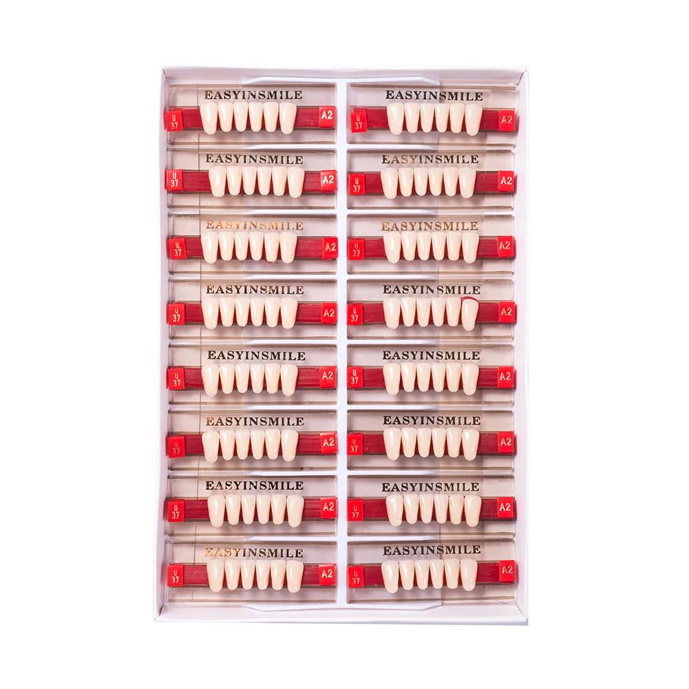 16/12 Sätze/Karton Zahnprothese Zähne Oberkiefer Frontzähne Unterkiefer Seitenzähne Dentier Synthetisches Polymerzähne Zahnmedizinische Ausbildungsmodell
