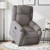 VidaXL Recliner, Relaxation Chair with Adjustable Backrest and Footrest, Living Room Seat, 3205210