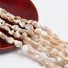 Seawater Shell Beads Natural Seawater Shell Irregular Beads 9x12mm For Jewelry Making DIY Necklace Bracelet Earrings Accessory Length 38cm