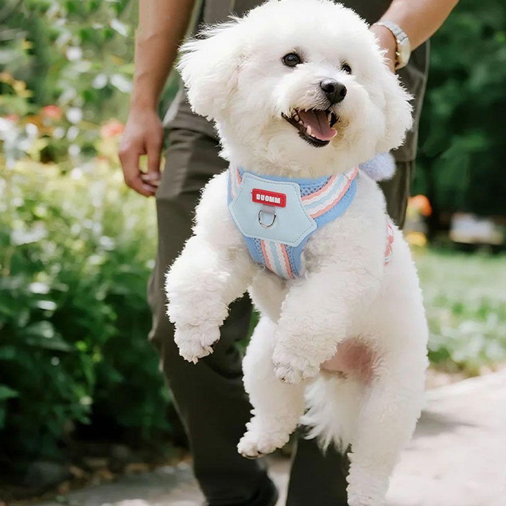 Escape Proof Dopamine Dog Harness Soft Comfortable Pet Walking Vest Quicklace Breathable Pet Collar Outdoor Walking