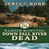 Down Fall River Dead by James C Work Paperback Book 9781645995357