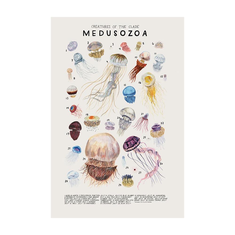 Abstract Marine Organisms Jellyfish Whale Squid Fishes Posters Canvas Painting and Prints Wall Art Picture for Room Home Decor