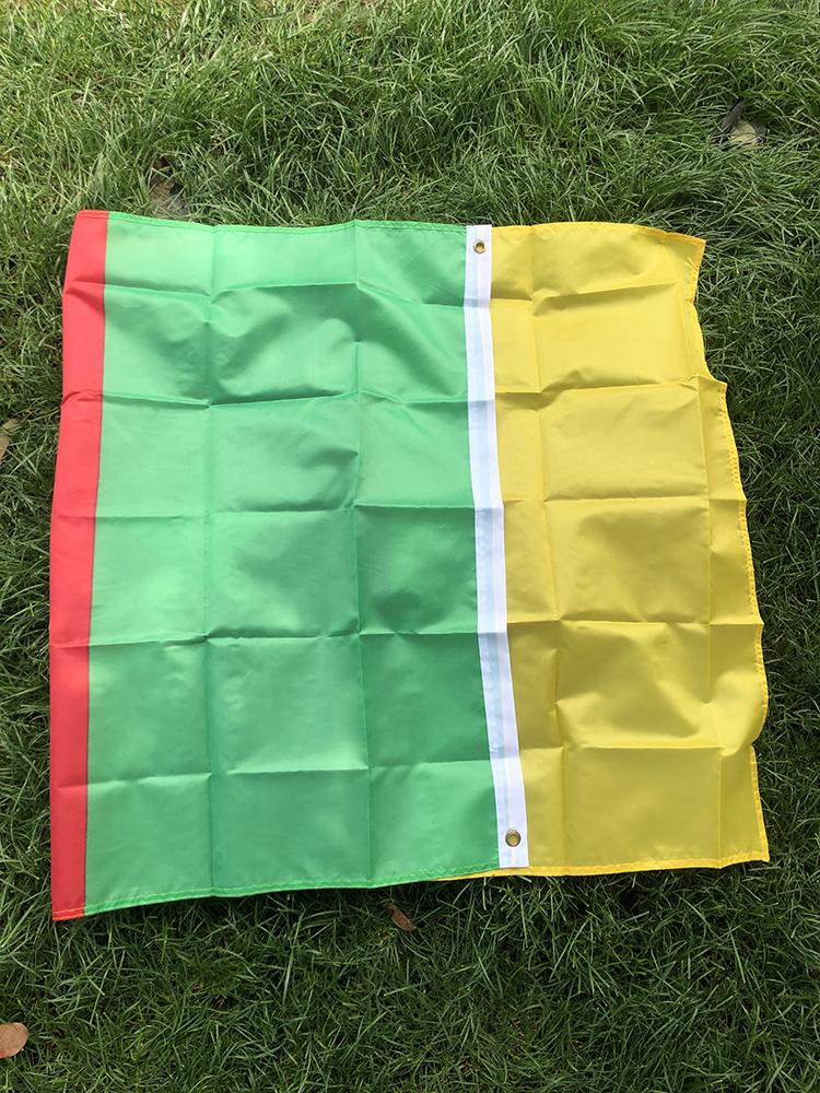 SKY FLAG spedizione gratuita Bandiera del Camerun Stendardo 90x150cm poliestere Appeso Bandiere Nazionali del Camerun Stendardo del Camerun Decorazione per la casa