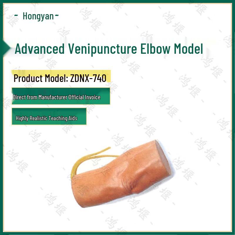 Hongyan Advanced Venous Injection Elbow Model