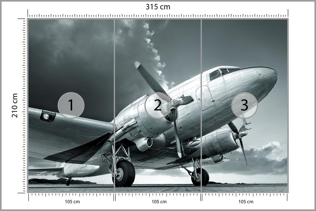 Photomural Propeller Airplane Washable Fleece 315x210