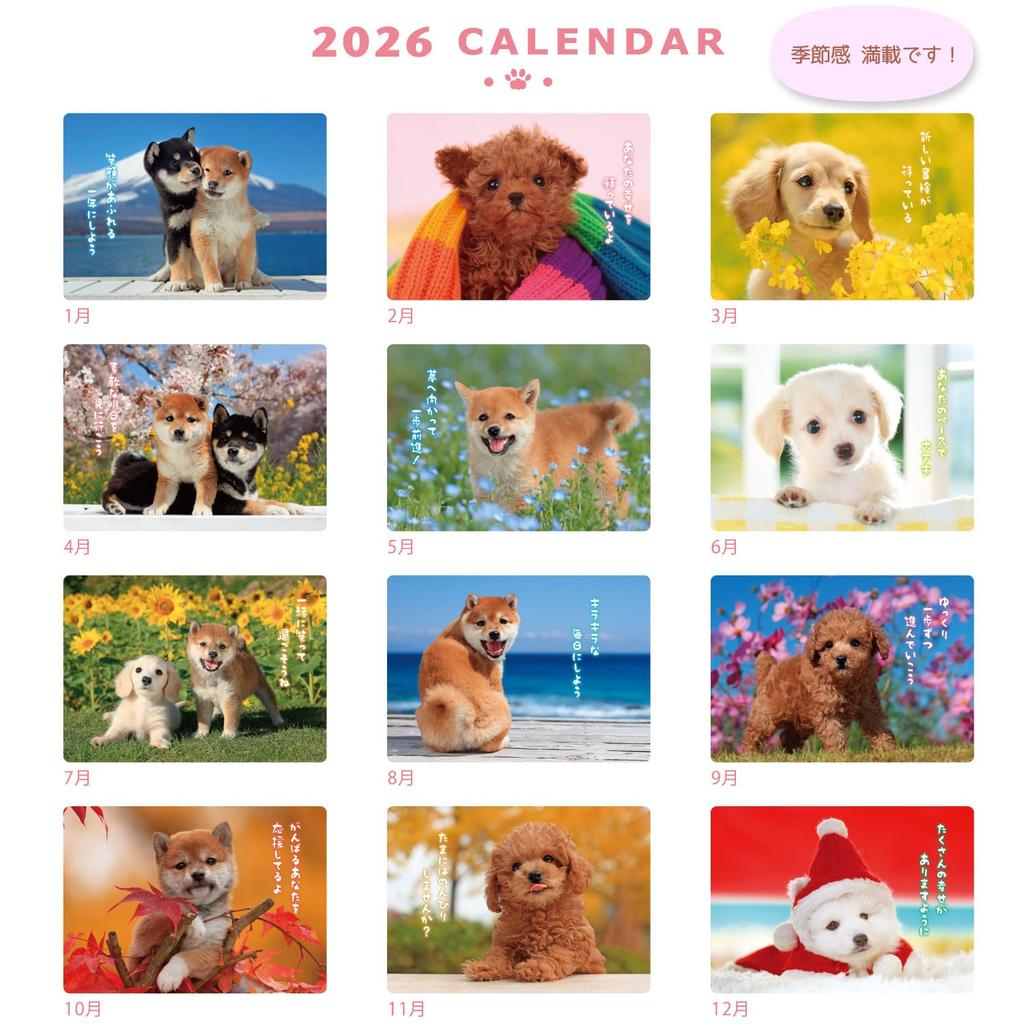Active Corporation 2026 Calendar Wall Hanging DOG Wall Calendar Starts January 2026 26ACL-01