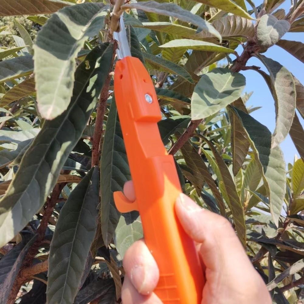 Handheld Berry Picking Tool Ergonomic Thorn-Proof Fruit Harvesting Shears Heavy-Duty Non-Slip Handle Garden Fruit Trimmer Garden