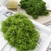 Yousheng 30/100G Musgo Verde Artificial Artesanato DIY Plantas de Interior Jardins de Fadas Centros de Mesa Aquários Micropaisagismo Musgo Falso Decorativo