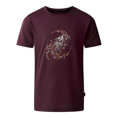 Childrens/Kids Amuse II Dinosaur Skeleton T-Shirt