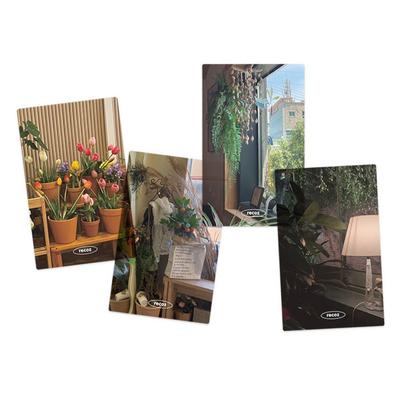 Ricos Translucent Photocard Bookmark 4-Piece Set, Plant, 1 Set
