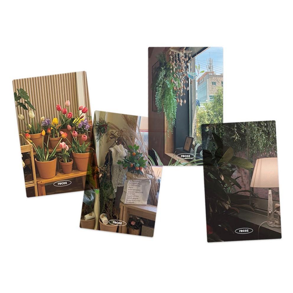 Ricos Translucent Photocard Bookmark 4-Piece Set, Plant, 1 Set