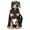Dog Knee Guard Dog Elbow Sleeve Protector Dog Leg Brace Front Wrist Dog Knee Cover Anti Licking Wound Dog Recovery Leg C