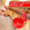 2-10PCS Chicken Drinking Bowl Plastic Automatic Filling Quail Poultry Water Dispenser Duck and Pigeon Free Range Chicken Waterer