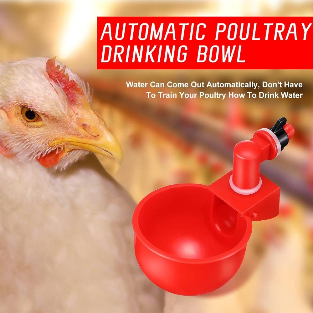 2-10PCS Chicken Drinking Bowl Plastic Automatic Filling Quail Poultry Water Dispenser Duck and Pigeon Free Range Chicken Waterer