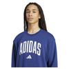 adidas Collegiate Hoodie