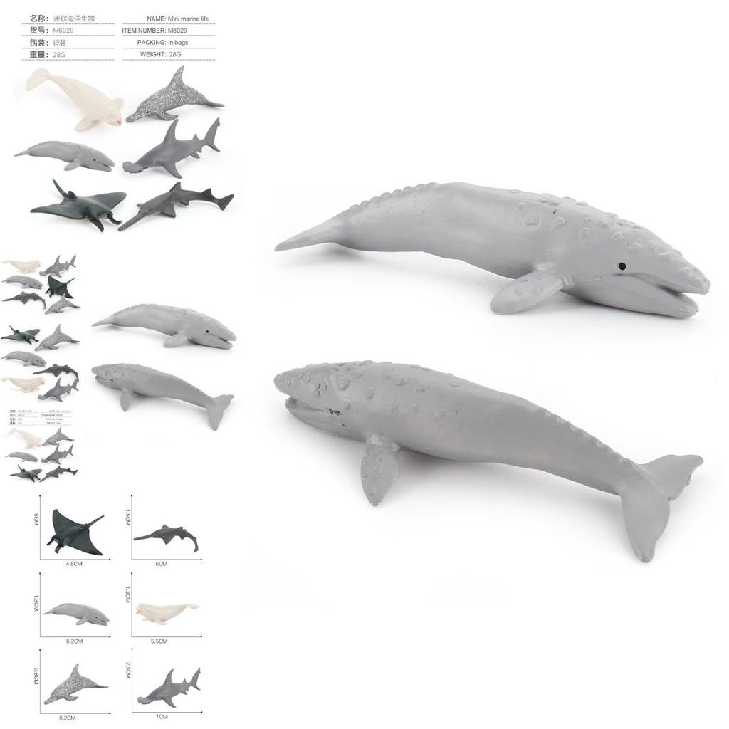Pvc Ocean Life Dolphin Devil Fish Beluga Shark Realistic Model Collectible Display Figurine