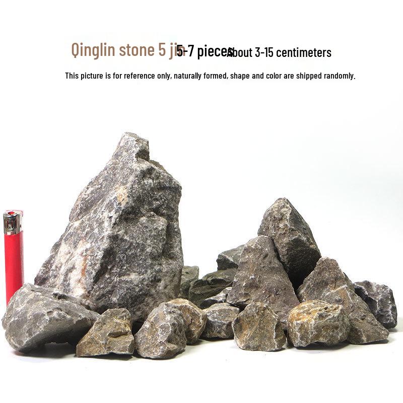 Azure Dragon Aquarium and Bonsai Landscaping Stone Set