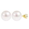 Lala Christie Diamond Earrings with 0.3ct Akoya Pearl Earring Backs, 18K Gold, Women's, le56-0029-yg