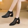 Women's Spring Summer New Leather Hollow Out Cool Boots Soft Sole Non Slip Low Heel High Quality Zippers Pointed Toe Ankle Boots