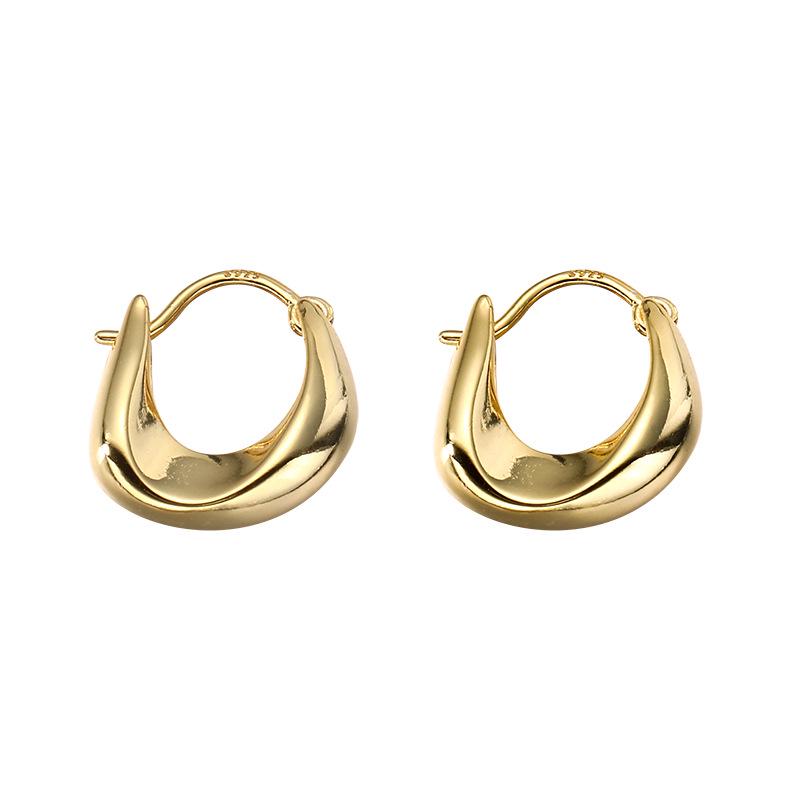 Irregular Niche Design 925 Silver Ear Hoops - Trendy Earrings for a Chic, Fashionable Look