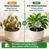Self Watering Globes for Plants 6 Pack - 750ml Large Capacity Automatic Slow Release Plant Waterer Bulbs for Indoor Outdoor Potted Plants, Vacation P